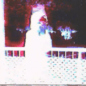 IMG_1220.gif
