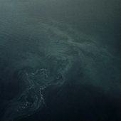 IMG_3575.jpeg