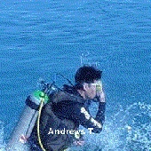 Avatar for andrewsvt