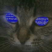 Avatar for lord_bingus
