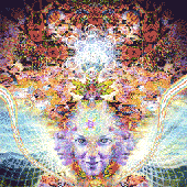 Avatar for Wi11Rock