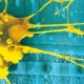 Avatar di MattVogt2