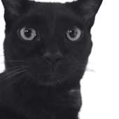 Avatar de akindigos
