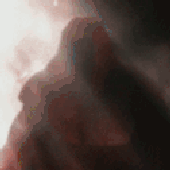 Avatar for RoyMustang656