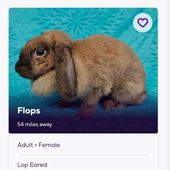 Avatar for hoppinandloppin