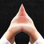 Avatar di sonnenglut