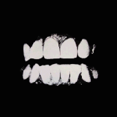 Avatar for ciqc