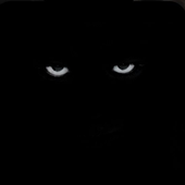 Avatar for sickktrain