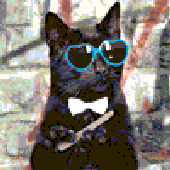 Avatar di dinox_