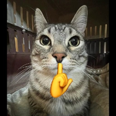 Avatar für Ado_N