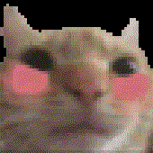 Avatar for realitzredx