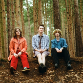 Forest Photo 1