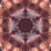 Avatar for jbbolo