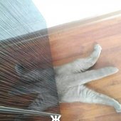 2Mj3kxtITFg.jpg