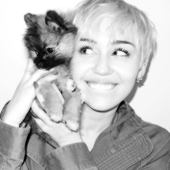 Avatar for ENDLESSBANGERZ