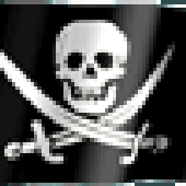 Avatar for Pirate-FLAC