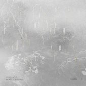 Parallel Landscapes