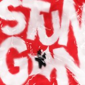 STUNGUN
