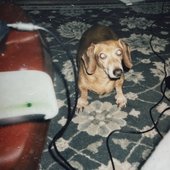 Grief in V Stages