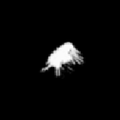Avatar for arctcosinus
