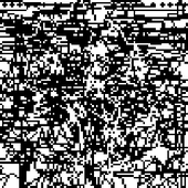 Avatar for AutoXXXX
