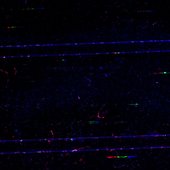 0020431810_10.jpg