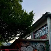 IMG_5950.jpeg