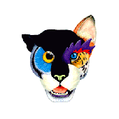 Avatar for Robin-Ellis