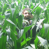 Avatar for superPerfundow