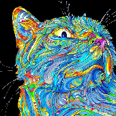 Avatar for Blitzkev