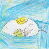 Avatar for sennekiwi