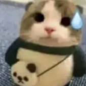 Avatar for kaz00kat