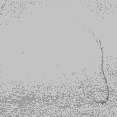 Avatar für Mapsmiau