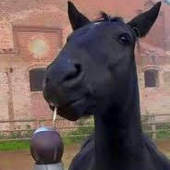 Avatar di repunancia