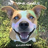 Accelerate - Single