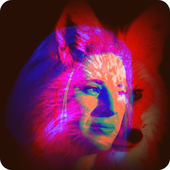 Avatar for Lazy_Bee