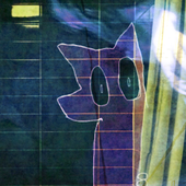 parafox pfp on tumblr