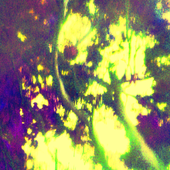 Avatar for interobject
