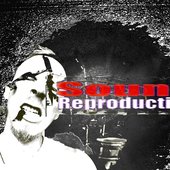 Sound Reproduction 