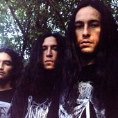 rottenness (MX).jpg