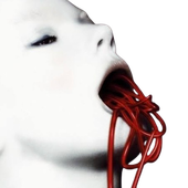 Avatar for bravado_