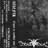 Frigus Ex Tenebris Venit