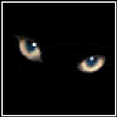 Avatar for Lizarius