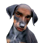 Avatar für ebixz