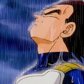 Vegeta-sama