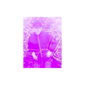 one man scream booklet.png