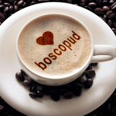 Awatar dla boscopud
