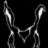 Avatar for Arcid