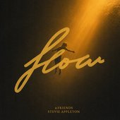 Flow