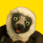 Avatar for chedspiffman